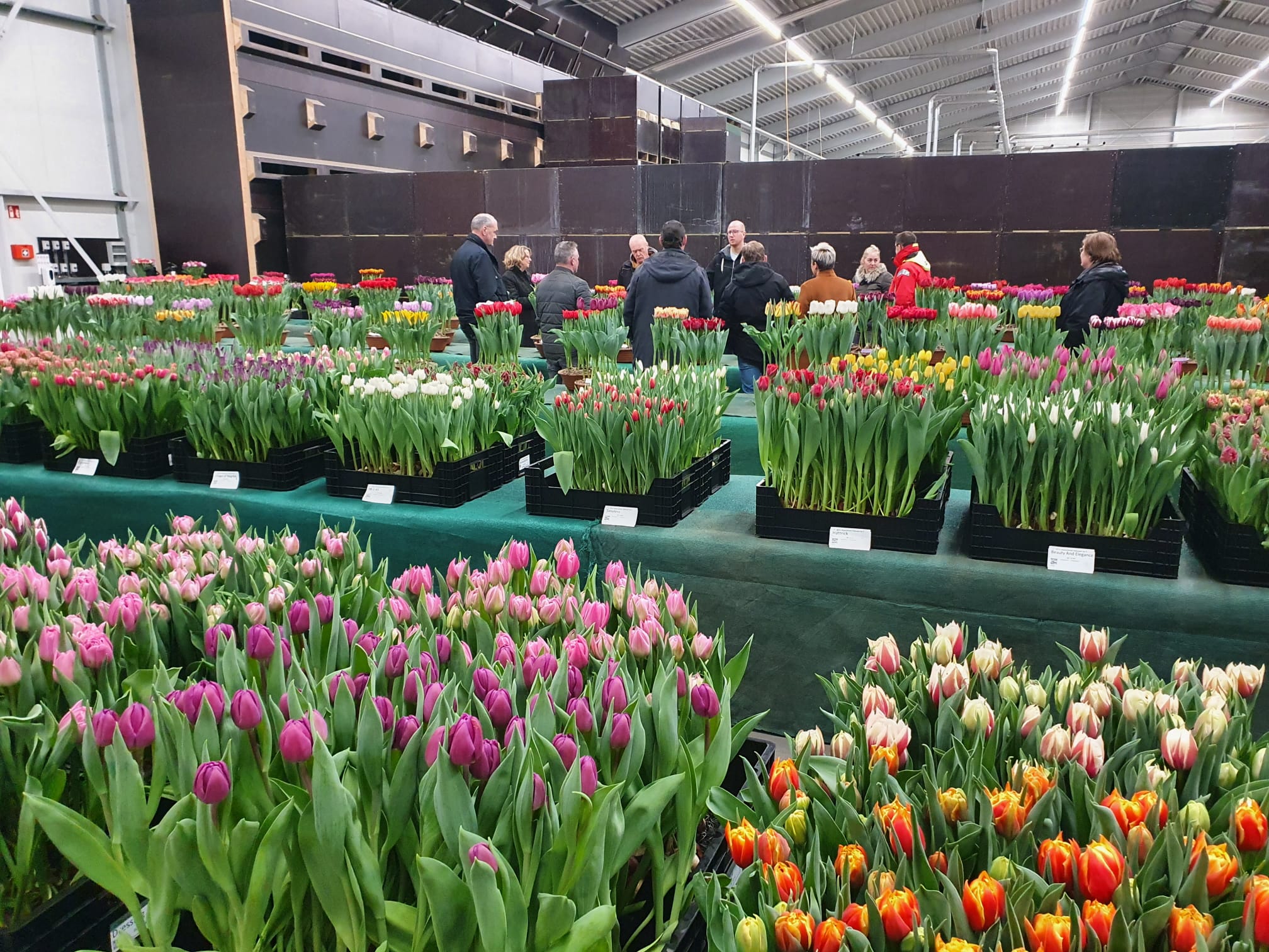 Bedrijfsbezoek Triflor