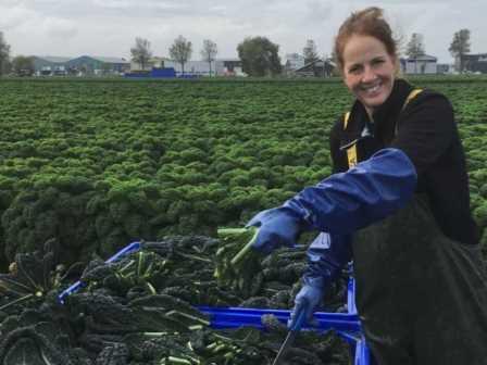 Brinks Groenteteelt vof