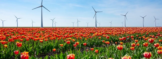 2023-04-03 21_40_05-Noord-Holland Noord als tuin van innovatie - Rabobank