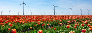 2023-04-03 21_40_05-Noord-Holland Noord als tuin van innovatie - Rabobank