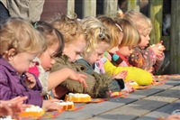 Kinderopvang de Hooijbergh