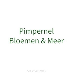 Pimpernel