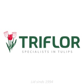 Triflor